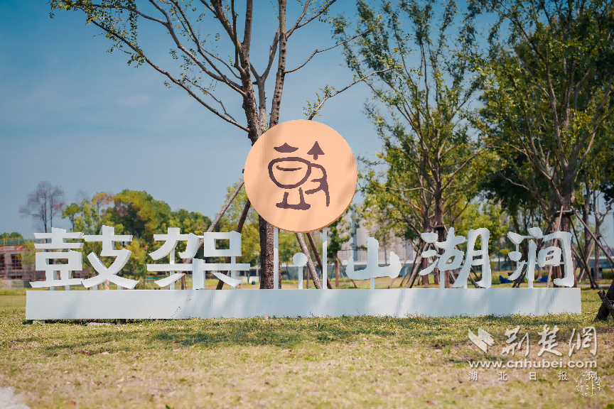 图片2.png.png