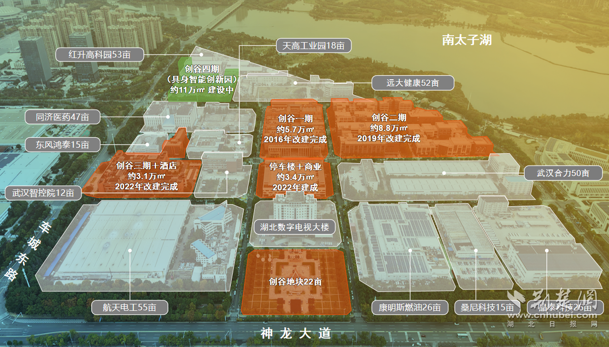 图片11.png.png
