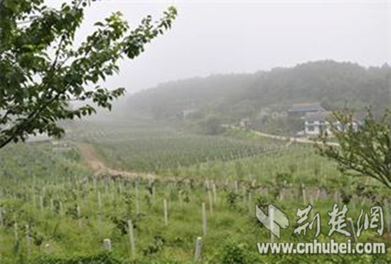 农5_看图王_副本.jpg