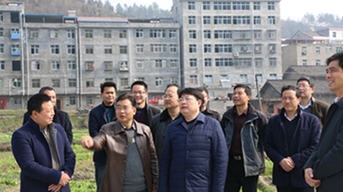 查看竹坪集镇沿河大道建设情况.JPG