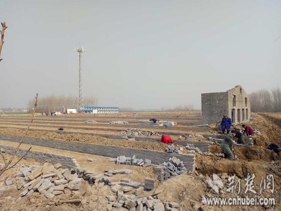 图片1.jpg 图片1.jpg