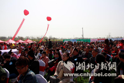 7B948C339766BABD501BBDB1396E13FE.png