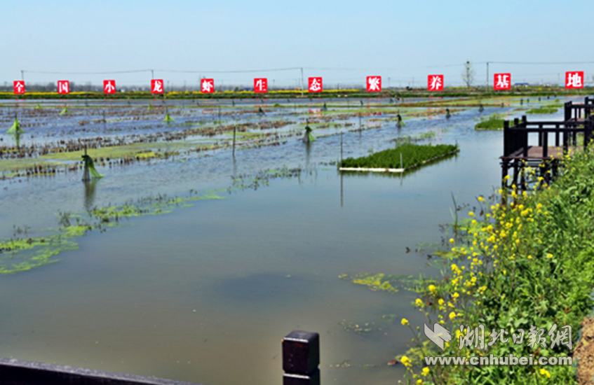 1_meitu_1.jpg 1_meitu_1.jpg