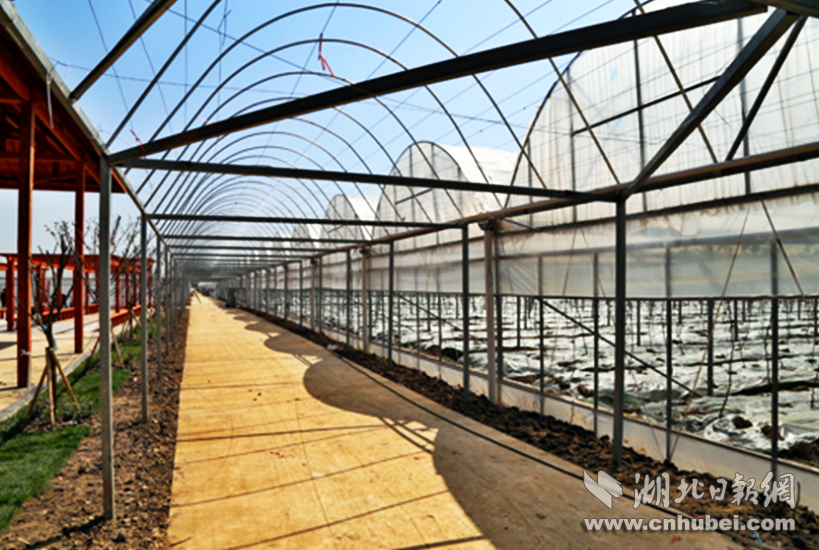 2_meitu_2.jpg 2_meitu_2.jpg