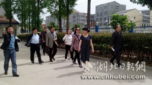 省爱卫办督查随县环境卫生整洁行动 照片 杨槐摄）.jpg