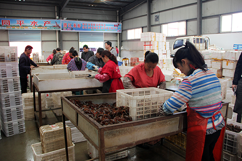 图片1.png 图片1.png