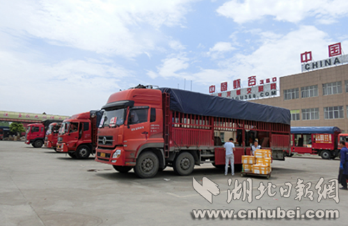 图片3_副本.png 图片3_副本.png