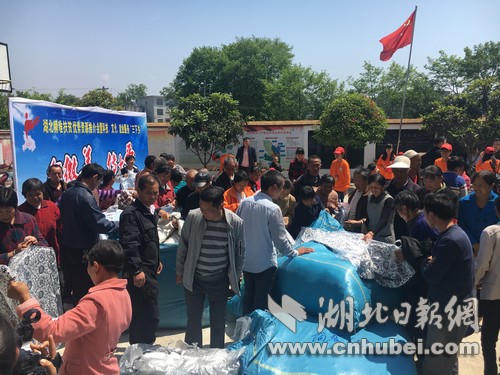 IMG_5886.jpg IMG_5886.jpg