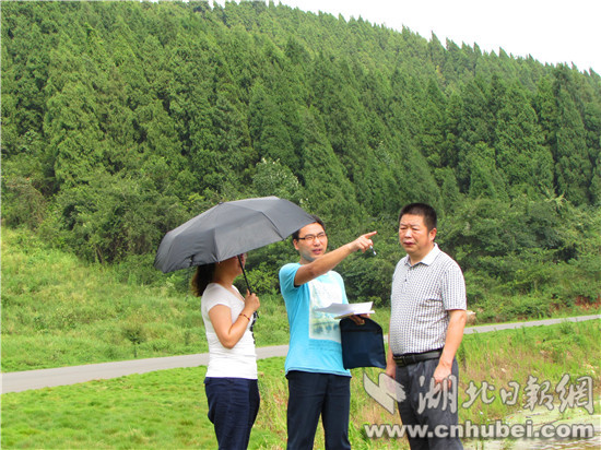京山县自然资源资产审计关注森林资源保护青山绿水.JPG
