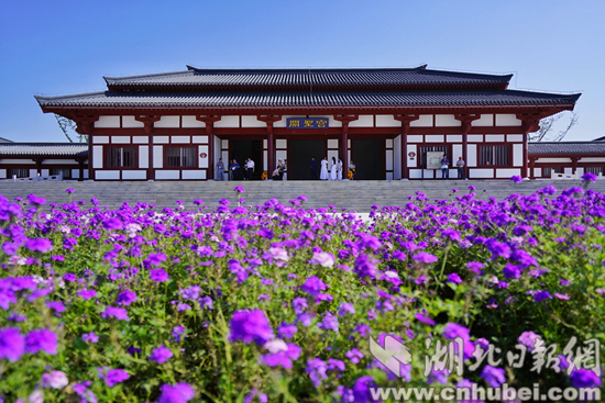 _DSC7700-01_副本.jpg