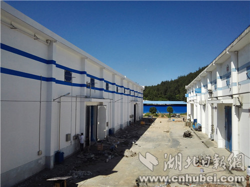 图1_副本.jpg 图1_副本.jpg