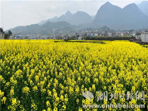 图6_副本.jpg 图6_副本.jpg