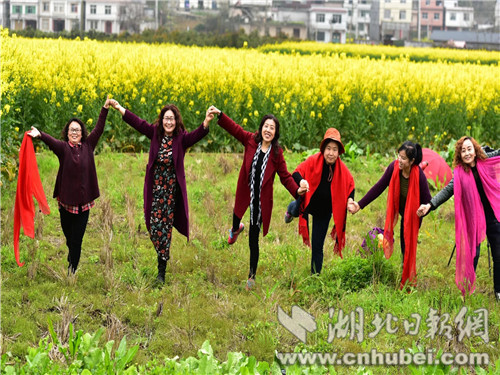 图7_副本.jpg 图7_副本.jpg