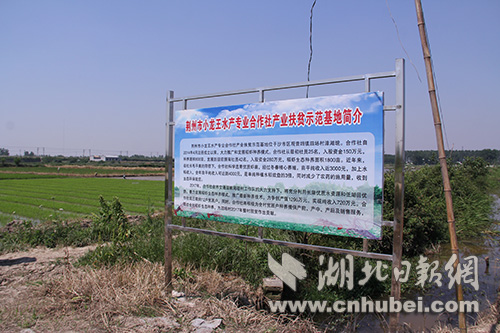 小龙王合作社.JPG