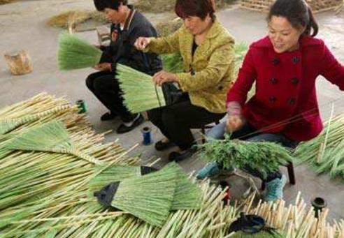 农民的艰辛创业路，小小的扫把却能年收入上千万？