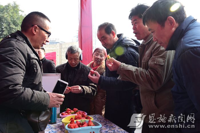 逛展的居民品尝挑选富硒产品。