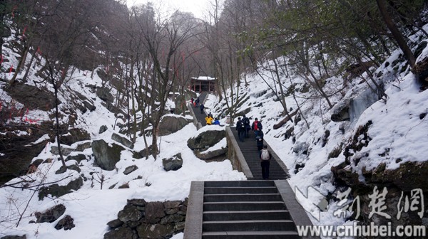 DSC09647 副本.jpg DSC09647 副本.jpg