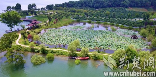 QQ截图20180313163055.png QQ截图20180313163055.png