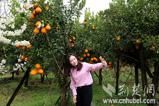 客商玩自拍(通讯员向继武摄影)_副本.jpg 客商玩自拍(通讯员向继武摄影)_副本.jpg