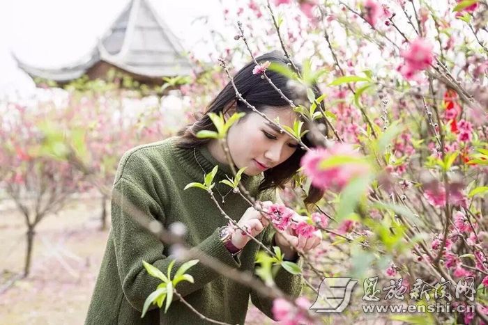 建始县业州镇罗家坝村的桃花盛开。