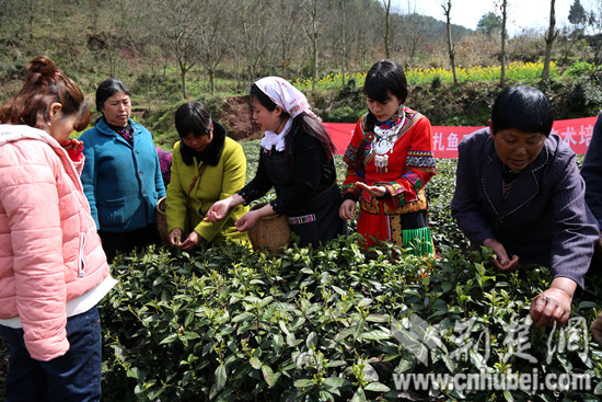 19_副本.jpg 19_副本.jpg