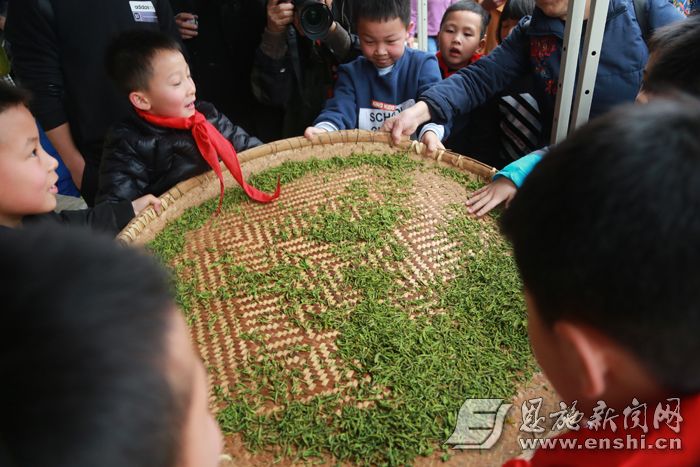 孩子们体验制茶。