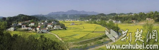 5_看图王.jpg
