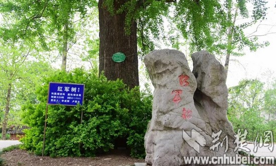8_看图王.jpg 8_看图王.jpg