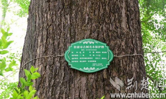 微信图片_20180408203837_看图王.jpg 微信图片_20180408203837_看图王.jpg