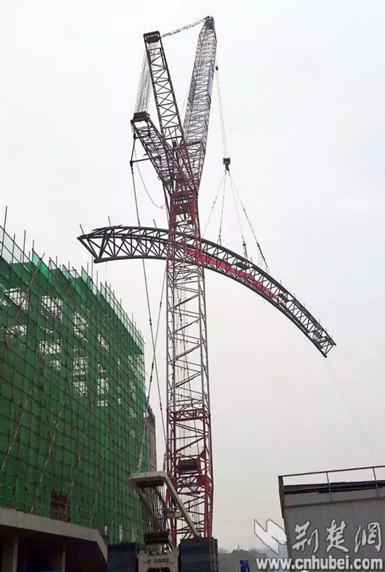350592405937064640_看图王.jpg