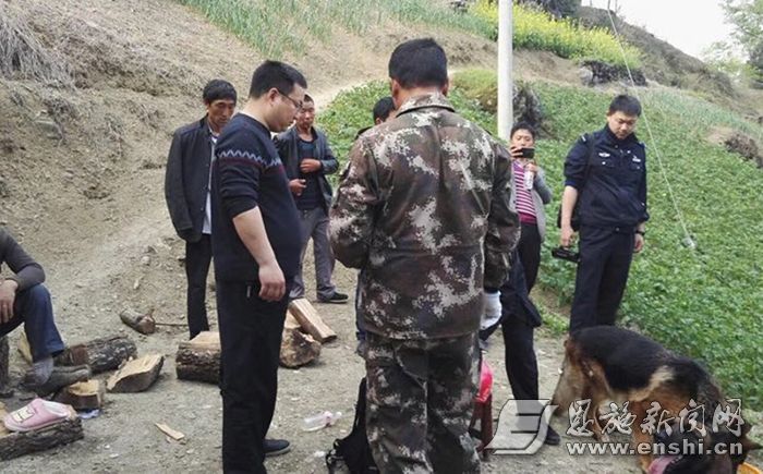 downLoad-20180418090225