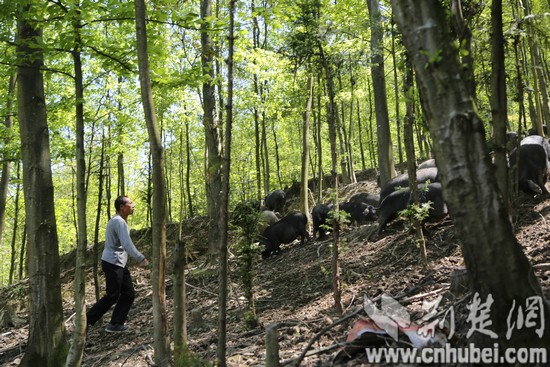 Image00001.jpg Image00001.jpg