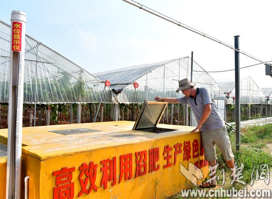 F:\荆楚网用图\Q6Q_8128.jpg
