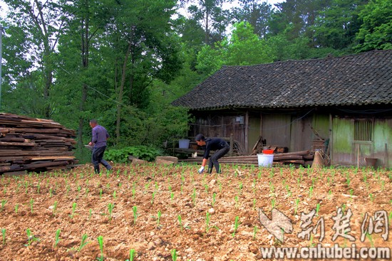 00001_0001.jpg 00001_0001.jpg