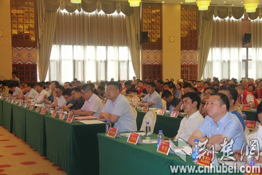 大会会场一角 (1).jpg