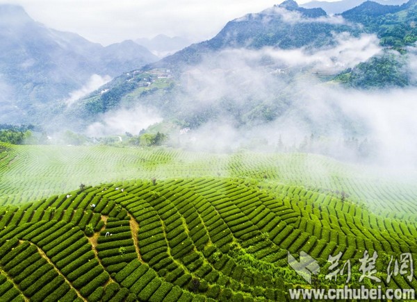 C:\Users\C1772\Desktop\500001.jpg C:\Users\C1772\Desktop\500001.jpg