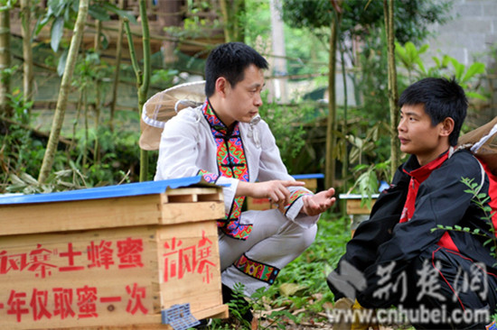 合作社负责人姚俊正在和蜂农交流养蜂心得。通讯员杨顺丕 摄.jpg