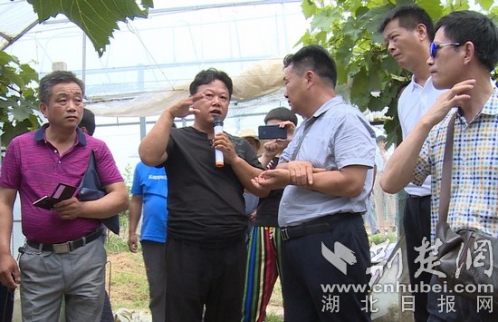 微信图片_20180615211528_看图王.jpg