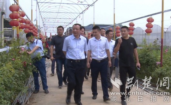 微信图片_20180615211537_看图王.jpg
