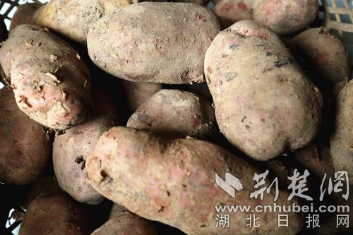 175A2408.jpg 175A2408.jpg