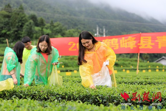 00001_0005.jpg 00001_0005.jpg