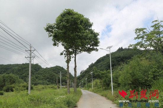 Image00002.jpg Image00002.jpg