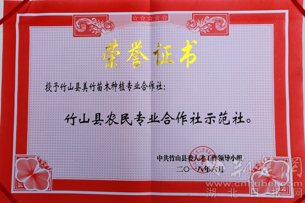 WL2A3349.JPG