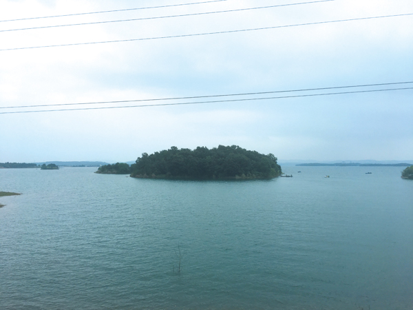小岛
