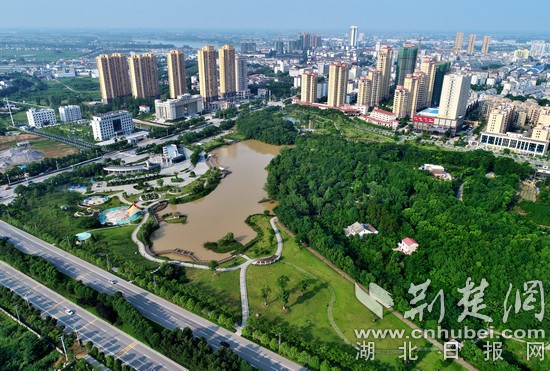 城市公园.jpg