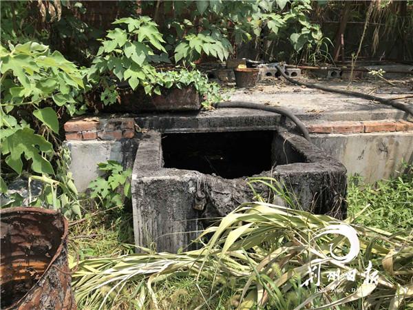 37℃高温下，废油池连“吞”4人，警民接力生命大救援展开了