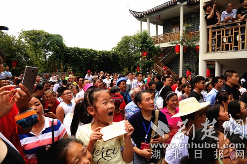 175A9555.jpg 175A9555.jpg