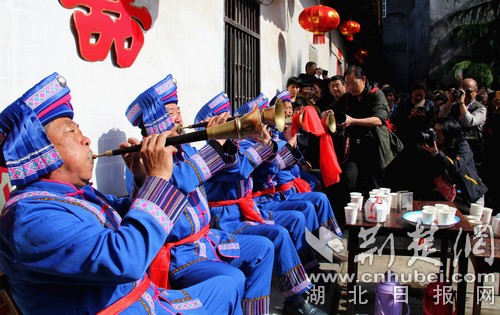 IMG_5229.jpg IMG_5229.jpg