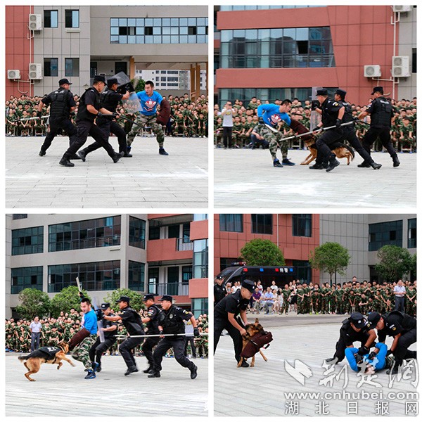 反恐.jpg