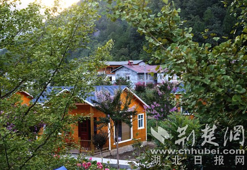 学校掩映在郁郁葱葱的绿荫里.jpg 学校掩映在郁郁葱葱的绿荫里.jpg